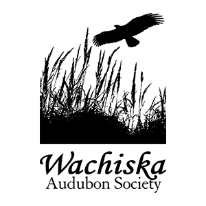 Wachiska Audubon Society