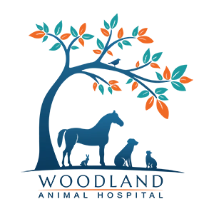 Woodland Animal Hospital